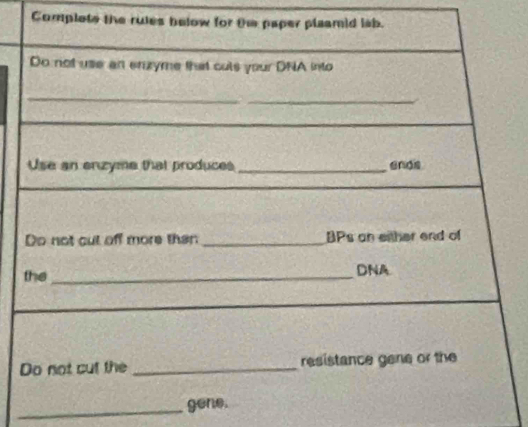 Complete the rules belo