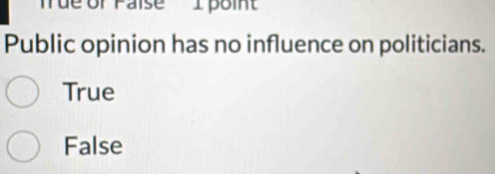 ue of Paise I point
Public opinion has no influence on politicians.
True
False