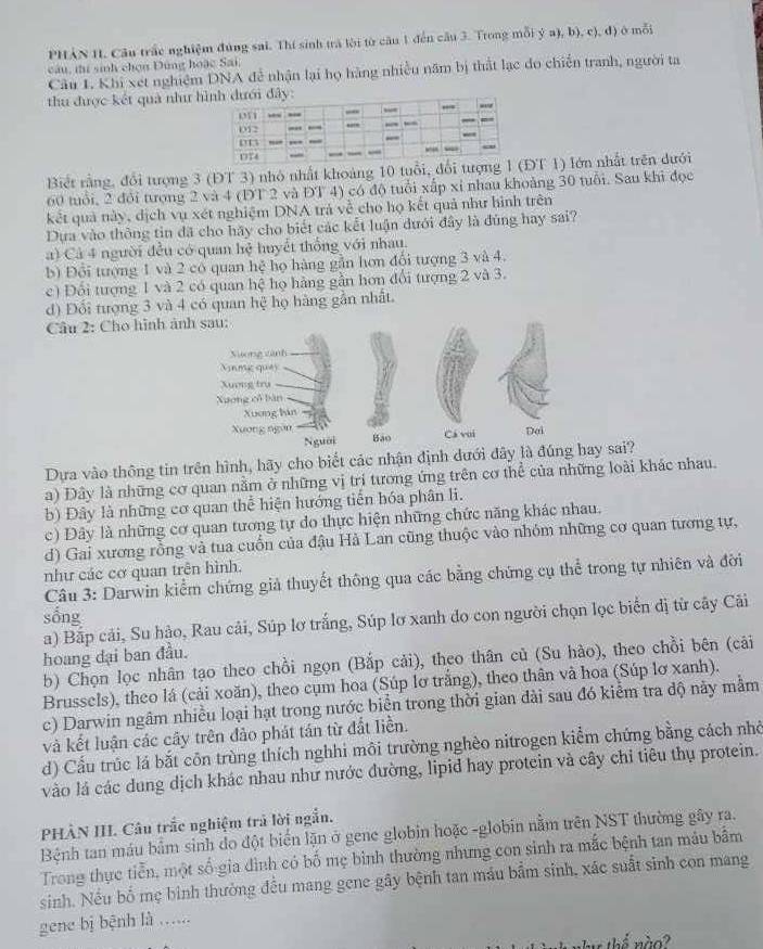 PHẢN H. Câu trắc nghiệm đúng sai. Thí sinh trà lời từ cầu 1 đến câu 3. Trong mỗi ý a), b), c), đ) ở mỗi
câu, thí sinh chọn Dùng hoặc Sai,
Câu 1. Khi xét nghiệm DNA đễ nhận lại họ hàng nhiều năm bị thất lạc do chiến tranh, người ta
thu được kết quả như h
Biết rằng, đổi tượng 3 (ĐT 3) nhỏ nhất khoảng 10 tuổi, đổi tĐT 1) lớn nhất trên dưới
60 tuổi, 2 đổi tượng 2 và 4 (ĐT 2 và ĐT 4) có độ tuổi xấp xỉ nhau khoảng 30 tuổi. Sau khi đọc
kết quả này, dịch vụ xét nghiệm DNA trả về cho họ kết quả như hình trên
Dựa vào thông tin đã cho hãy cho biết các kết luận dưới đây là đúng hay sai?
a) Cả 4 người đều có quan hệ huyết thống với nhau.
b) Đổi tượng 1 và 2 có quan hệ họ hàng gần hơn đổi tượng 3 và 4.
c) Đối tượng 1 và 2 có quan hệ họ hàng gần hơn đổi tượng 2 và 3.
d) Đổi tượng 3 và 4 có quan hệ họ hàng gần nhất.
Câu 2: Cho hình ả
Dựa vào thông tin trên hình, hãy cho biết các nhận định dưới đây là đúay sai?
a) Đây là những cơ quan nằm ở những vị trí tương ứng trên cơ thể của những loài khác nhau.
b) Đây là những cơ quan thể hiện hướng tiến hóa phân li.
c) Đây là những cơ quan tương tự do thực hiện những chức năng khác nhau,
d) Gai xương rồng và tua cuốn của đậu Hà Lan cũng thuộc vào nhóm những cơ quan tương tự,
như các cơ quan trên hình.
Câu 3: Darwin kiểm chứng giả thuyết thông qua các bằng chứng cụ thể trong tự nhiên và đời
sống
a) Bấp cải, Su hậo, Rau cải, Súp lơ trắng, Súp lơ xanh do con người chọn lọc biển dị từ cây Cải
hoang dại ban đầu.
b) Chọn lọc nhân tạo theo chồi ngọn (Bắp cải), theo thân củ (Su hào), theo chồi bên (cải
Brussels), theo lá (cải xoăn), theo cụm hoa (Súp lơ trắng), theo thân và hoa (Súp lơ xanh).
c) Darwin ngâm nhiều loại hạt trong nước biển trong thời gian đài sau đó kiểm tra độ này mằm
và kết luận các cây trên đảo phát tán từ đất liền.
d) Cấu trúc lá bắt côn trùng thích nghhi môi trường nghèo nitrogen kiểm chứng bằng cách nhỏ
vào lá các dung dịch khác nhau như nước đường, lipid hay protein và cây chỉ tiêu thụ protein.
PHÀN III. Câu trắc nghiệm trả lời ngắn.
Bệnh tan máu bắm sinh do đột biển lặn ở gene globin hoặc -globin nằm trên NST thường gây ra.
Trong thực tiền, một số-gia đình có bố mẹ bình thường nhưng con sinh ra mắc bệnh tan máu bắm
sinh. Nếu bố mẹ bình thường đều mang gene gây bệnh tan máu bẩm sinh, xác suất sinh con mang
gene bị bệnh là …...
thể lào?