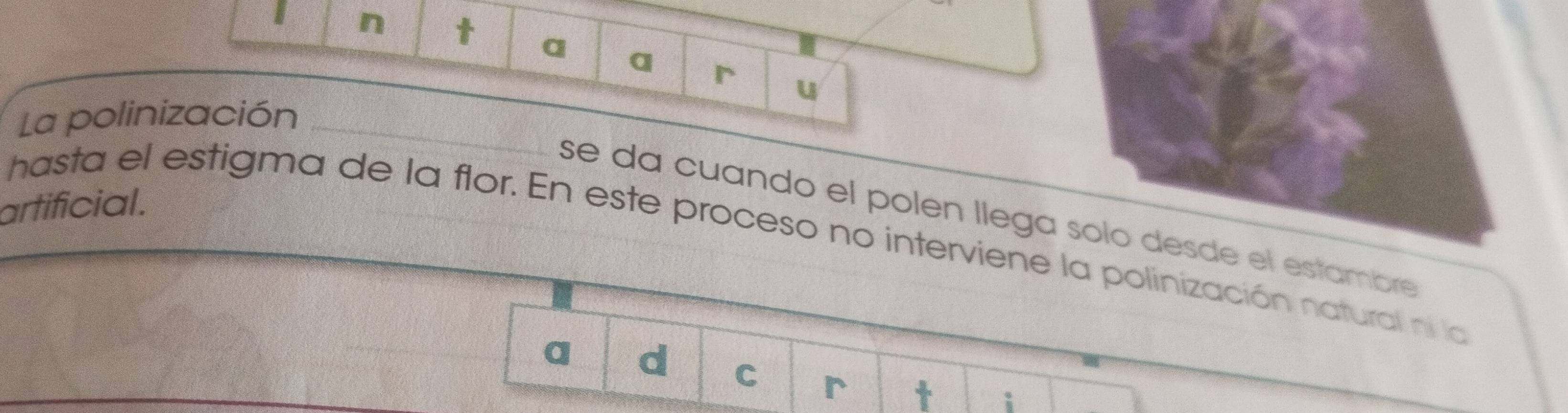 a a r u 
La polinización_ 
artificial. 
se da cuando el polen llega solo desde el estambre 
hasta el estigma de la flor. En este proceso no interviene la polinización natural ni la 
a d C r t i