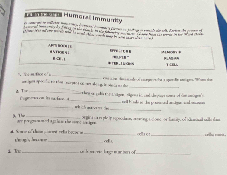 Fill In the Gaps Humoral Immunity 
In contrast to collular immunity, humoral immunity focuses on pathogens outside the cell. Review the proces A 
bumoral immunity by filling in the blanks in the following i m mulorhoose from the words in the Word Bank 
(Hint: Not all the words will be used. Also, words may be used more than once.) 
ANTIBODIES EFFECTOR B MEMORY B 
ANTIGENS HELPER T 
PLASMA 
B CELL INTERLEUKINS 
T CELL 
1. The surface of a 
_ 
contains thousands of receptors for a specific antigen. When the 
antigen specific to that receptor comes along, it binds to the_ 
2. The _then engulfs the antigen, digests it, and displays some of the antigen's 
fragments on its surface. A _cell binds to the presented antigen and secretes 
_, which activates the 
_ 
3. The_ begins to rapidly reproduce, creating a clone, or family, of identical cells that 
are programmed against the same antigen. 
4. Some of these cloned cells become _cells or_ cells; most, 
though, become_ cells. 
5. The _cells secrete large numbers of_