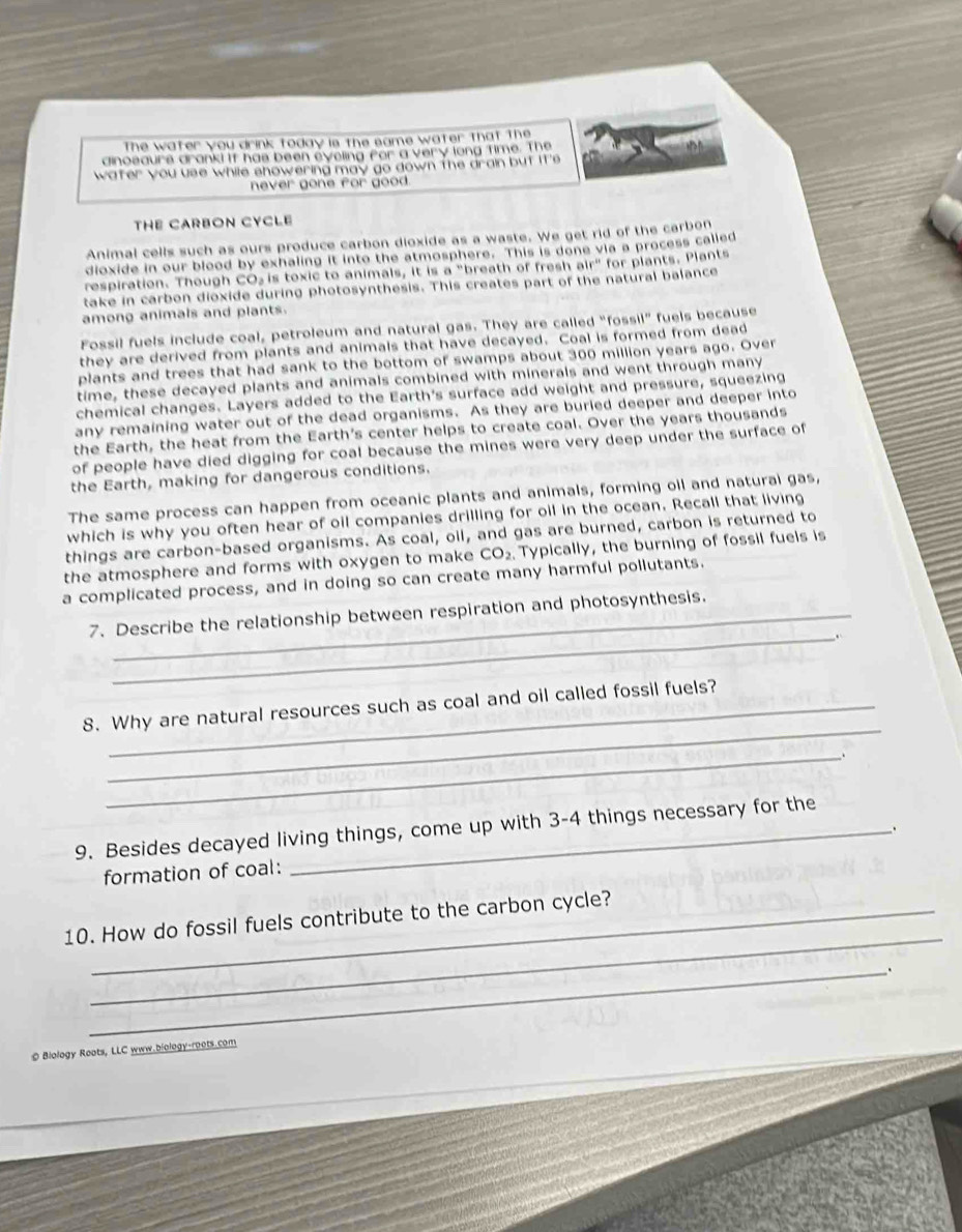 The water you drink today is the same water that the 
dinoeaurs drank! If has been eyeling for a very long time. The 
water you use while showering may go down the drain but ire 
never gone for good. 
THE CARBON CYCLE 
Animal cells such as ours produce carbon dioxide as a waste. We get rid of the carbon 
dioxide in our blood by exhaling it into the atmosphere. This is done via a process called 
respiration. Though CO₃ is toxic to animals, it is a "breath of fresh air" for plants. Plants 
take in carbon dioxide during photosynthesis. This creates part of the natural balance 
among animals and plants. 
Fossil fuels include coal, petroleum and natural gas. They are called "fossil" fuels because 
they are derived from plants and animals that have decayed. Coal is formed from dead 
plants and trees that had sank to the bottom of swamps about 300 million years ago. Over 
time, these decayed plants and animals combined with minerals and went through many 
chemical changes. Layers added to the Earth's surface add weight and pressure, squeezing 
any remaining water out of the dead organisms. As they are burled deeper and deeper into 
the Earth, the heat from the Earth's center helps to create coal. Over the years thousands 
of people have died digging for coal because the mines were very deep under the surface of 
the Earth, making for dangerous conditions. 
The same process can happen from oceanic plants and animals, forming oil and naturai gas, 
which is why you often hear of oil companies drilling for oil in the ocean. Recall that living 
things are carbon-based organisms. As coal, oll, and gas are burned, carbon is returned to 
the atmosphere and forms with oxygen to make CO_2 Typically, the burning of fossil fuels is 
a complicated process, and in doing so can create many harmful pollutants. 
7. Describe the relationship between respiration and photosynthesis. 
_. 
_ 
8. Why are natural resources such as coal and oil called fossil fuels? 
_ 
9. Besides decayed living things, come up with 3-4 things necessary for the 
formation of coal: 
_ 
10. How do fossil fuels contribute to the carbon cycle? 
_ 
© Biology Roots, LLC www.biology-roots.com