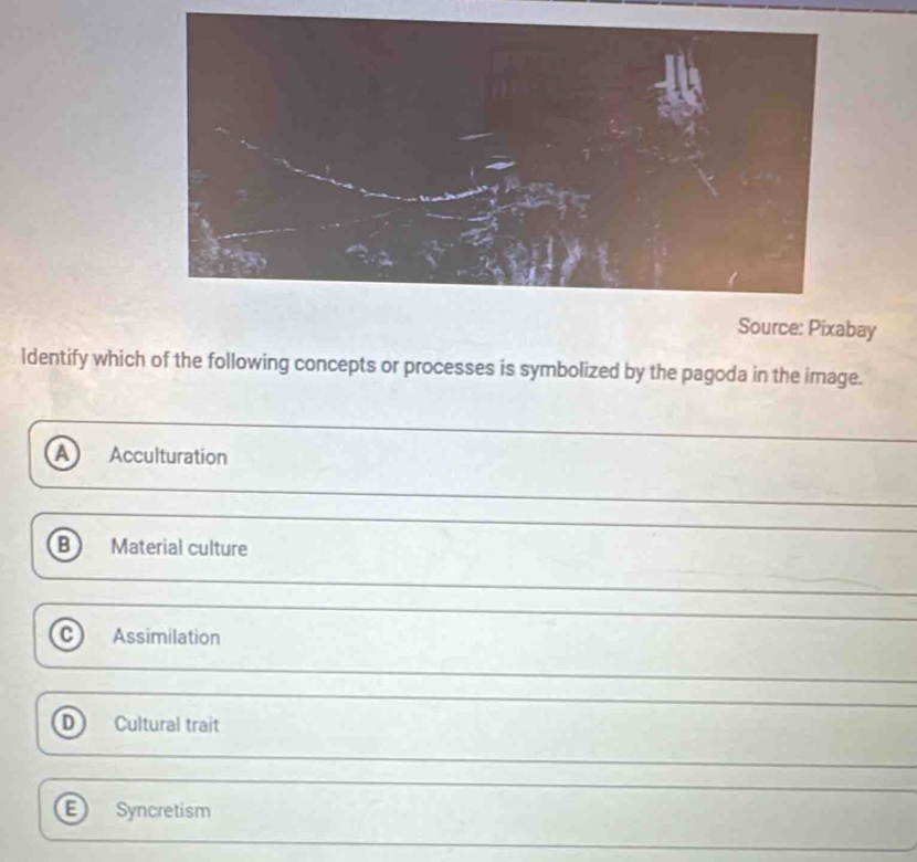 Source: Pixabay
ldentify which of the following concepts or processes is symbolized by the pagoda in the image.
A Acculturation
B Material culture
C Assimilation
D Cultural trait
E Syncretism