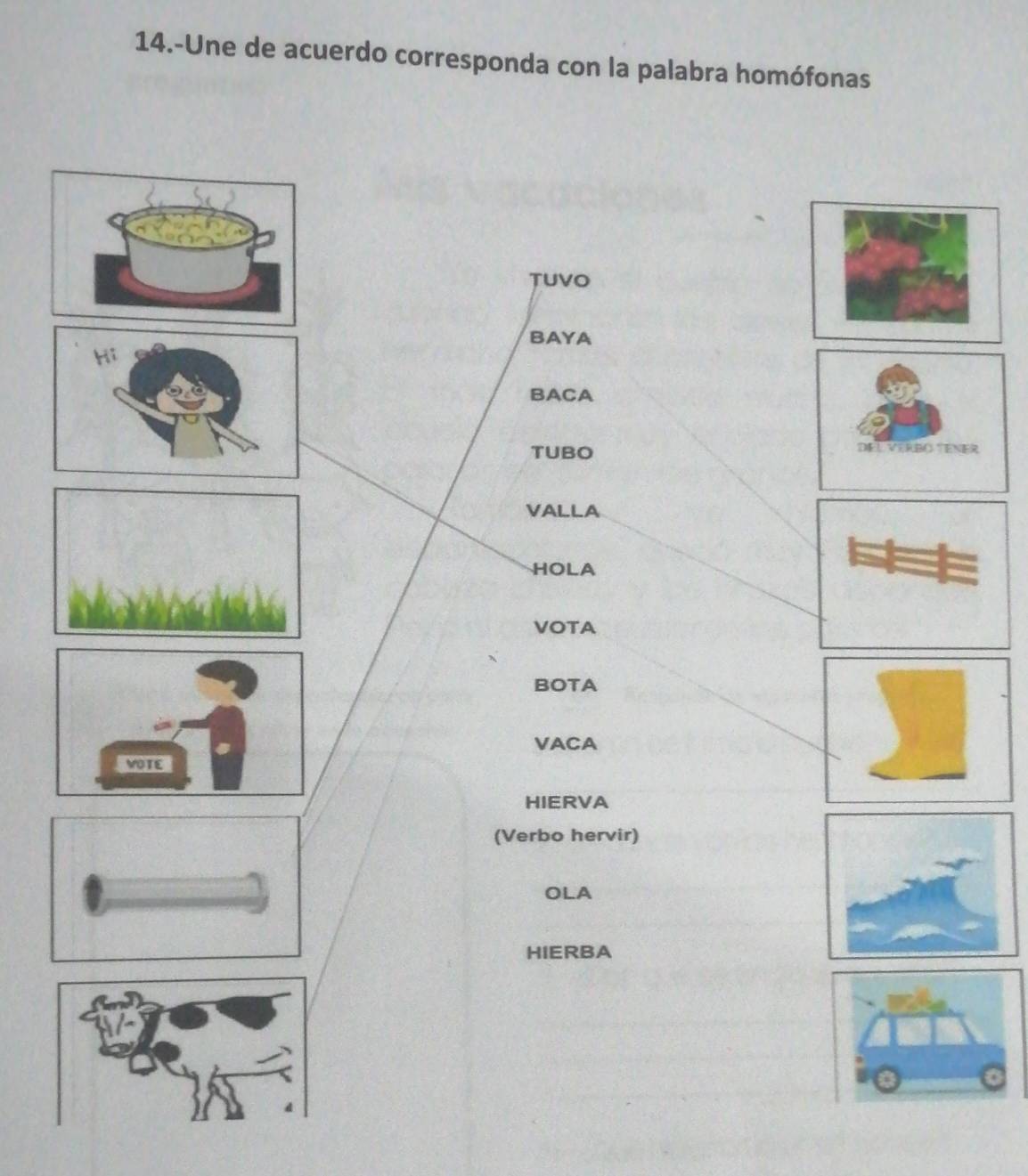 14.-Une de acuerdo corresponda con la palabra homófonas 
tuvo 
BAYA 
BACA 
TUBO DEL VERBO TENER 
VALLA 
HOLA 
VOTA 
BOTA 
VACA 
VOTE 
HIERVA 
(Verbo hervir) 
OLA 
HIERBA