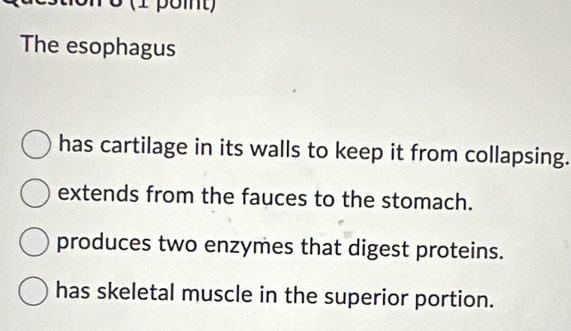 The esophagus
has cartilage in its walls to keep it from collapsing.
extends from the fauces to the stomach.
produces two enzymes that digest proteins.
has skeletal muscle in the superior portion.