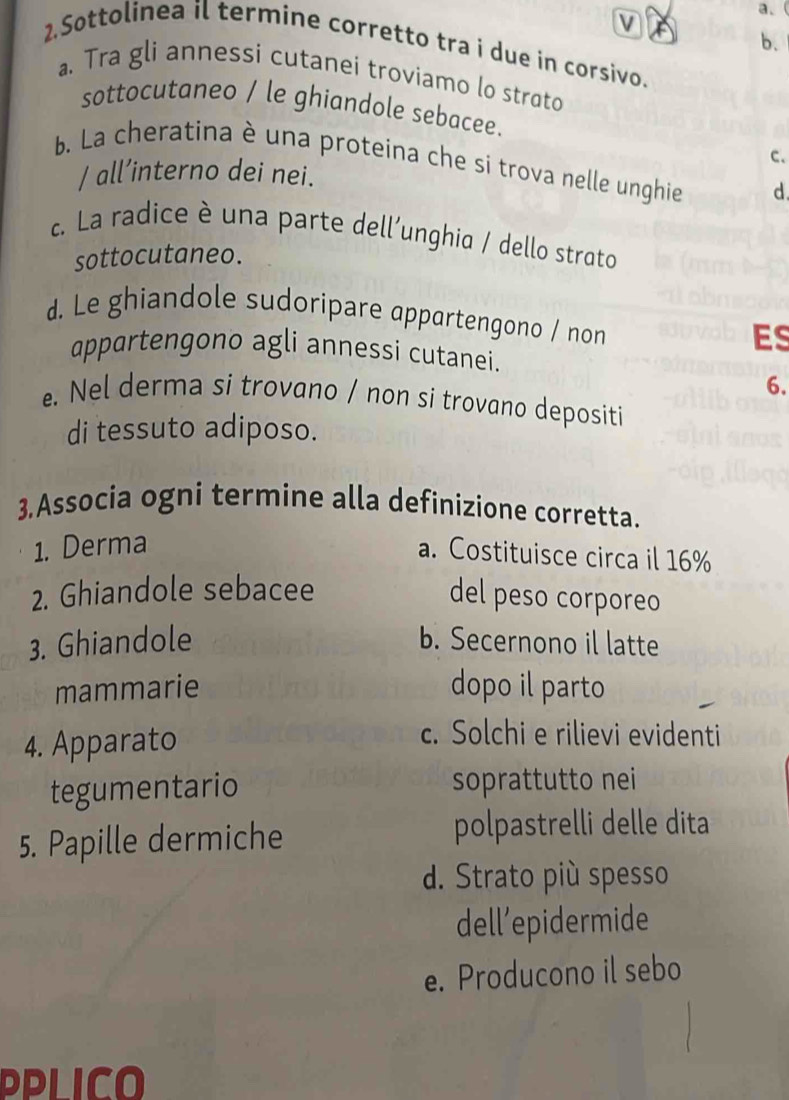 a、
b.
2.Sottolinea il termine corretto tra i due in corsivo.
a. Tra gli annessi cutanei troviamo lo strøto
sottocutaneo / le ghiandole sebacee.
C.
b. La cheratina è una proteina che si trova nelle unghie d
/ all’interno dei nei.
c. La radice è una parte dell'unghia / dello strato
sottocutaneo.
d. Le ghiandole sudoripare appartengono / non
ES
appartengono agli annessi cutanei.
6.
e. Nel derma si trovano / non si trovano depositi
di tessuto adiposo.
3.Associa ogni termine alla definizione corretta.
1. Derma
a. Costituisce circa il 16%
2. Ghiandole sebacee
del peso corporeo
3. Ghiandole b. Secernono il latte
mammarie dopo il parto
4. Apparato
c. Solchi e rilievi evidenti
tegumentario soprattutto nei
5. Papille dermiche
polpastrelli delle dita
d. Strato più spesso
dell’epidermide
e. Producono il sebo
PPLICO