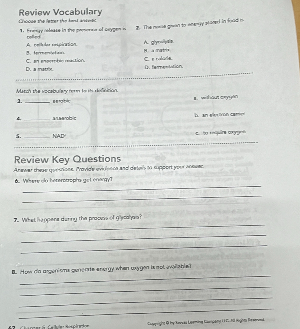 Review Vocabulary
Choose the letter the best answer.
1. Energy release in the presence of oxygen is 2. The name given to energy stored in food is
called
A. cellular respiration. A. glycolysis.
B. fermentation. B. a matrix.
C. an anaerobic reaction. C. a calorie.
_
D. a matrix. D. fermentation.
_
_
Match the vocabulary term to its definition.
3. _aerobic a. without oxygen
4. _anaerobic b. an electron carrier
5. _NAD* c. to require oxygen
_
Review Key Questions
Answer these questions. Provide evidence and details to support your answer.
_
6. Where do heterotrophs get energy?
_
_
_
7. What happens during the process of glycolysis?
_
_
_
8. How do organisms generate energy when oxygen is not available?
_
_
_
Chapter 5. Cellular Respiration Copyright @ by Sawas Learning Company LLC. All Rights Reserved.