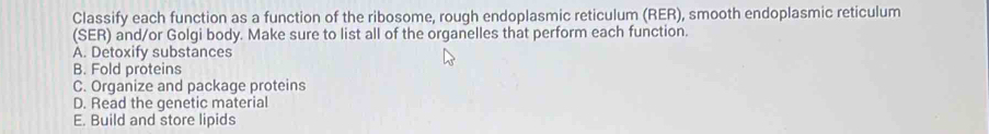 Classify each function as a function of the ribosome, rough endoplasmic reticulum (RER), smooth endoplasmic reticulum 
(SER) and/or Golgi body. Make sure to list all of the organelles that perform each function. 
A. Detoxify substances 
B. Fold proteins 
C. Organize and package proteins 
D. Read the genetic material 
E. Build and store lipids