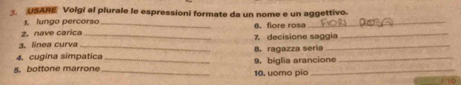 USARE Volgi al plurale le espressioni formate da un nome e un aggettivo. 
1. lungo percorso_ 
2. nave carica 6. fiore rosa_ 
_ 
3, linea curva_ _7. decisione saggia 
4. cugina simpatica 8. ragazza seria_ 
5. bottone marrone _9. biglia arancione 
_10. uomo pio