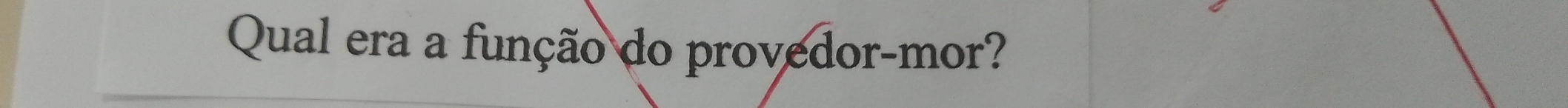 Qual era a função do provedor-mor?