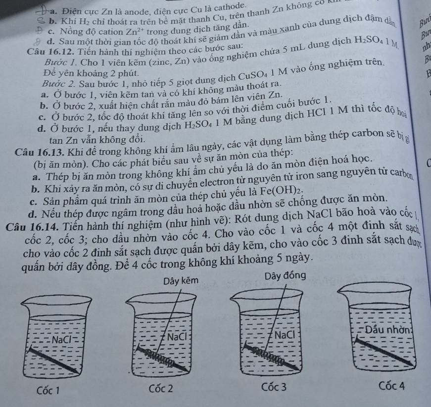 a. Điện cực Zn là anode, điện cực Cu là cathode.
b. Khí H_2 chỉ thoát ra trên bề mặt thanh Cu, trên thanh Zn không co
c. Nồng độ cation Zn^(2+) trong dung dịch tăng dần.
d. Sau một thời gia c độ thoát khí sẽ giảm dần và màu xanh của dung dịch đậm dẫn Bưó
Bư
Câu 16.12. Tiến hành thí nghiệm theo các bước sau:
Bước I. Cho 1 viên kẽm (zinc, Zn) vào ống nghiệm chứa 5 mL dung dịch H_2SO_4 1 M nh
Bước 2. Sau bước 1, nhỏ tiếp 5 giọt dung dịch CuSO₄ 1 M vào ống nghiệm trên B
Để yên khoảng 2 phút. 1
a. Ở bước 1, viên kẽm tan và có khí không màu thoát ra.
b. Ở bước 2, xuất hiện chất răn màu đỏ bám lên viên Zn.
c. Ở bước 2, tốc độ thoát khí tăng lên so với thời điểm cuối bước 1.
d. Ở bước 1, nếu thay dung dịch H_2SO 1 M bằng dung dịch HCl 1 M thì tốc độ hoài
tan Zn vẫn không đổi.
Câu 16.13. Khi để trong không khí ẩm lâu ngày, các vật dụng làm bằng thép carbon sẽ b_1 ol
(bị ăn mòn). Cho các phát biểu sau về sự ăn mòn của thép:
a. Thép bị ăn mòn trong không khí ẩm chủ yếu là do ăn mòn điện hoá học.
b. Khí xảy ra ăn mòn, có sự di chuyển electron từ nguyên tử iron sang nguyên tử carbon
c. Sản phẩm quá trình ăn mòn của thép chủ yếu là Fe(OH)2,
d. Nếu thép được ngâm trong dầu hoả hoặc dầu nhờn sẽ chống được ăn mòn.
Câu 16.14. Tiến hành thí nghiệm (như hình vẽ): Rót dung dịch NaCl bão hoà vào cốc 
cốc 2, cốc 3; cho dầu nhờn vào cốc 4. Cho vào cốc 1 và cốc 4 một đinh sắt sạch
cho vào cốc 2 đinh sắt sạch được quấn bởi dây kẽm, cho vào cốc 3 đinh sắt sạch đượ
qun bởi dây đồng. Để 4 cốc trong không khí khoảng 5 ngày.
nhờn
Cốc 4