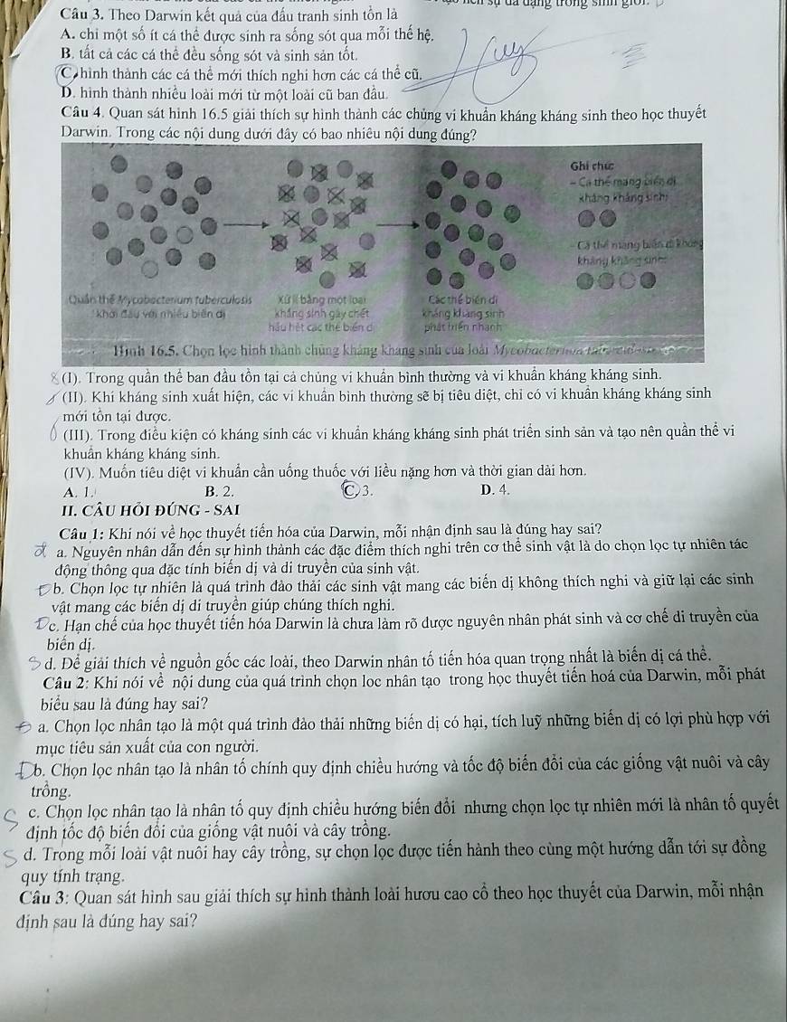 lên sự đa đạng trong sih giờn
Cầu 3. Theo Darwin kết quả của đấu tranh sinh tồn là
A. chi một số ít cá thể được sinh ra sống sót qua mỗi thế hệ.
B. tất cả các cá thể đều sống sót và sinh sản tốt.
C hình thành các cá thể mới thích nghi hơn các cá thể cũ,
D. hình thành nhiều loài mới từ một loài cũ ban đầu
Câu 4. Quan sát hình 16.5 giải thích sự hình thành các chủng vi khuẩn kháng kháng sinh theo học thuyết
Darwin. Trong các nội dung dưới đây có bao nhiêu nội dung đúng?
(1). Trong quần thể ban đầu tồn tại cả chủng vi khuẩn bình thường và vi khuần kháng kháng sinh.
(II). Khí kháng sinh xuất hiện, các vi khuẩn bình thường sẽ bị tiêu diệt, chỉ có vi khuẩn kháng kháng sinh
mới tôn tại được.
(III). Trong điều kiện có kháng sinh các vi khuẩn kháng kháng sinh phát triển sinh sản và tạo nên quần thể vi
khuẩn kháng kháng sinh.
(IV). Muốn tiêu diệt vi khuẩn cần uống thuốc với liều nặng hơn và thời gian dài hơn.
A. 1. B. 2. Ⓒ3. D. 4.
II. CÂU HỏI đÚNG - SAi
Câu 1: Khi nói về học thuyết tiến hóa của Darwin, mỗi nhận định sau là đúng hay sai?
a. Nguyên nhân dẫn đến sự hình thành các đặc điểm thích nghi trên cơ thể sinh vật là do chọn lọc tự nhiên tác
động thông qua đặc tính biến dị và di truyền của sinh vật.
b. Chọn lọc tự nhiên là quá trình đảo thải các sinh vật mang các biến dị không thích nghi và giữ lại các sinh
vật mang các biển dị di truyền giúp chúng thích nghi.
Fc. Hạn chế của học thuyết tiến hóa Darwin là chưa làm rõ được nguyên nhân phát sinh và cơ chế di truyền của
biến dị.
d. Để giải thích về nguồn gốc các loài, theo Darwin nhân tố tiến hóa quan trọng nhất là biến dị cá thể.
Câu 2: Khi nói về nội dung của quá trình chọn loc nhân tạo trong học thuyết tiến hoá của Darwin, mỗi phát
biểu sau là đúng hay sai?
a. Chọn lọc nhân tạo là một quá trình đào thải những biến dị có hại, tích luỹ những biến dị có lợi phù hợp với
mục tiêu sản xuất của con người.
C. Chọn lọc nhân tạo là nhân tố chính quy định chiều hướng và tốc độ biến đổi của các giống vật nuôi và cây
trồng.
c. Chọn lọc nhân tạo là nhân tố quy định chiều hướng biến đổi nhưng chọn lọc tự nhiên mới là nhân tố quyết
dịnh tốc độ biến đổi của giống vật nuôi và cây trồng.
d. Trong mỗi loài vật nuôi hay cây trồng, sự chọn lọc được tiến hành theo cùng một hướng dẫn tới sự đồng
quy tính trạng
Cầu 3: Quan sát hình sau giải thích sự hình thành loài hươu cao cổ theo học thuyết của Darwin, mỗi nhận
dịnh sau là dúng hay sai?