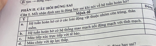 tim → động mậ 
oàn hơ: