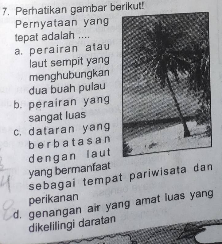 Perhatikan gambar berikut!
Pernyataan yang
tepat adalah ....
a. perairan atau
laut sempit yang
menghubungkan
dua buah pulau
b. perairan yang
sangat luas
c. dataran yang
berbatasan
dengan laut
yang bermanfaat
sebagai tempat pariwisata dan 
perikanan
d. genangan air yang amat luas yang
dikelilingi daratan