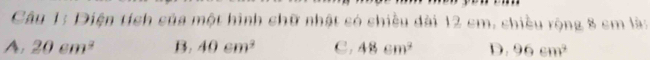 Diện tích sủa một hình shữ nhật só shiều dài 12 cm. shiều rộng 8 sm là:
A. 20cm^2 B. 40cm^2 C. 48cm^2 D. 96cm^3