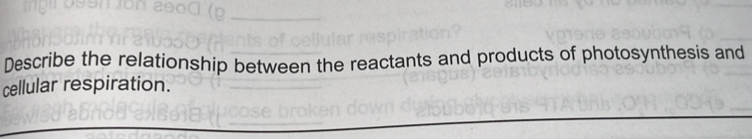 Describe the relationship between the reactants and products of photosynthesis and 
cellular respiration.