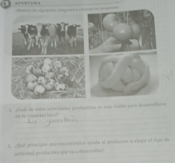 APERTURA 
sta las preguntas. 
1. ¿Cual de éstas actividades productivas es más viable para desarrollarse 
_en tu contexto local? 
_ 
__ 
_ 
2. ¿Qué principio microeconómico ayuda al productor a elegir el tipo de 
_ 
actividad productiva que va a desarrollar? 
_