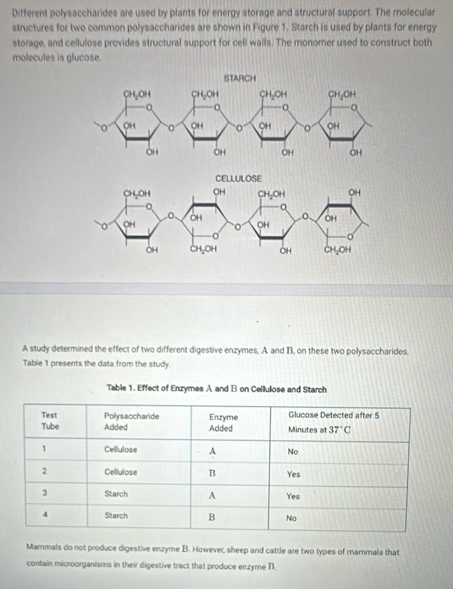 Different polysaccharides are used by plants for energy storage and structural support. The molecular
structures for two common polysaccharides are shown in Figure 1. Starch is used by plants for energy
storage, and cellulose provides structural support for cell walls. The monomer used to construct both
molecules is glucose.
A study determined the effect of two different digestive enzymes, A and B, on these two polysaccharides,
Table 1 presents the data from the study.
Table 1. Effect of Enzymes A and B on Cellulose and Starch
Mammals do not produce digestive enzyme B. However, sheep and cattle are two types of mammals that
contain microorganisms in their digestive tract that produce enzyme B.