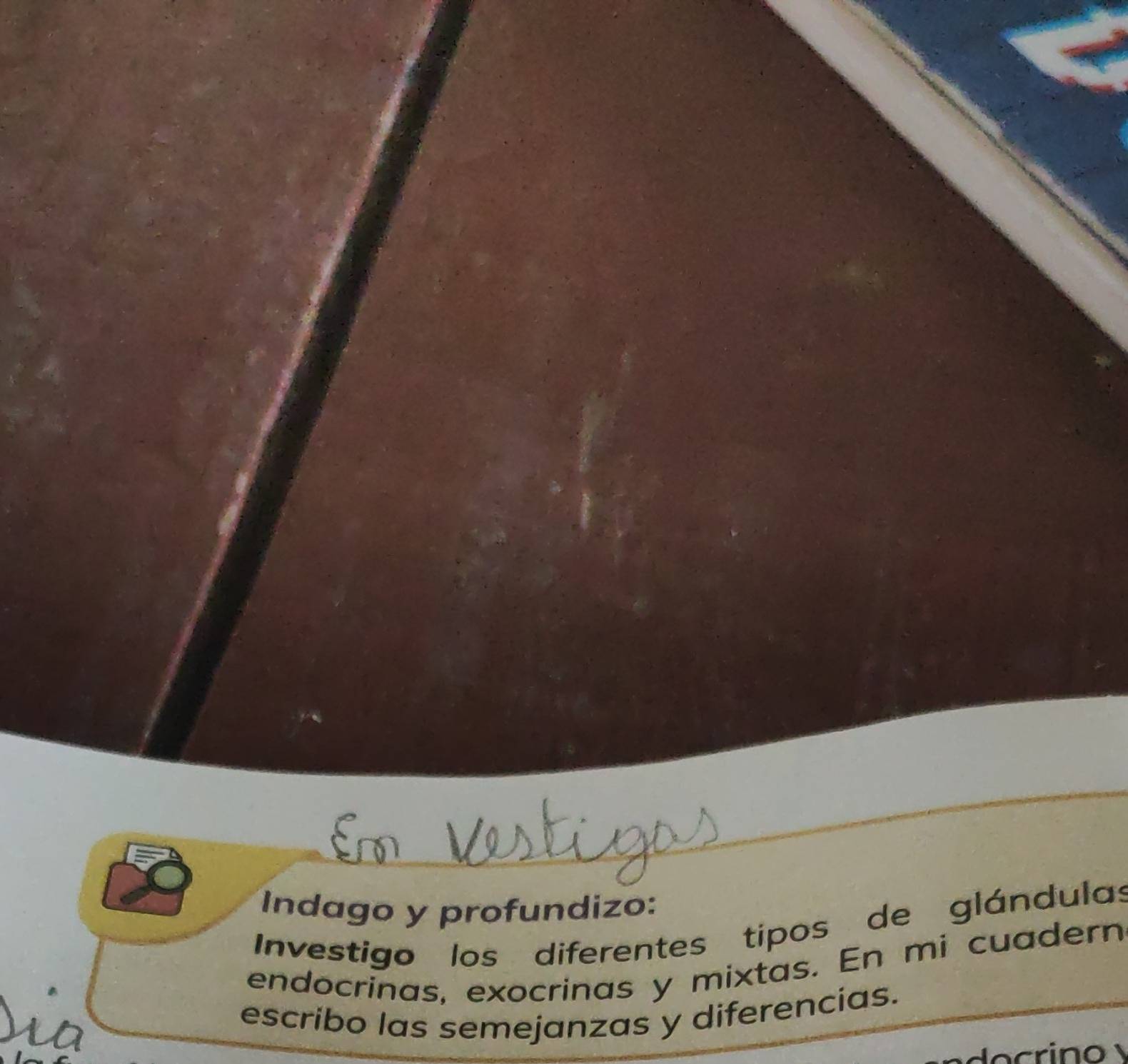 Indago y profundizo: 
Investigo los diferentes tipos de glándulas 
endocrinas, exocrinas y mixtas. En mi cuadern 
escribo las semejanzas y diferencías. 
o crino