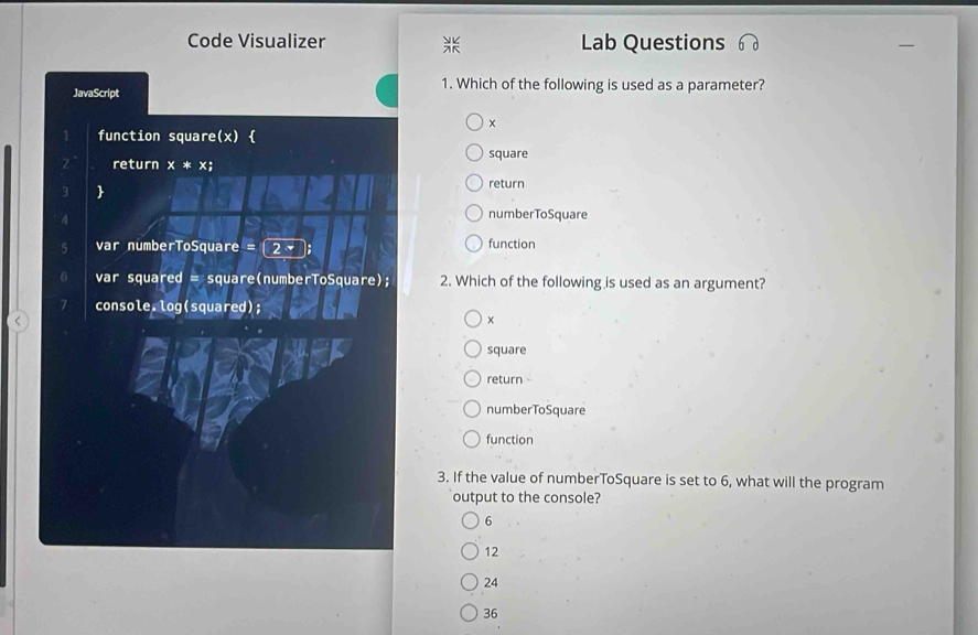 Solved: Code Visualizer Lab Questions JavaScript 1. Which of the ...