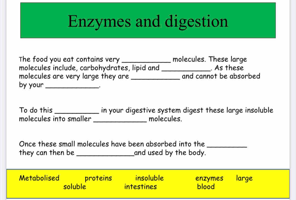 Enzymes and digestion
The food you eat contains very _molecules. These large
molecules include, carbohydrates, lipid and _. As these
molecules are very large they are_ and cannot be absorbed
by your_
To do this _in your digestive system digest these large insoluble
molecules into smaller _molecules.
Once these small molecules have been absorbed into the_
they can then be _and used by the body.
Metabolised proteins insoluble enzymes large
soluble intestines blood