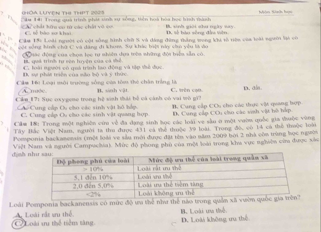 CHÔa LUyện thị tHPt 2025 Môn Sính học
. Thọ  Câu 14: Trong quả trình phát sinh sự sống, tiền hoá hóa học hình thành
chất hữu cơ từ các chất vô cơ. B. sinh giới như ngày nay.
C. tế bào sơ khai. D. tế bào sống đầu tiên.
1  Câu 15: Loài người có cột sống hình chữ S và dáng đứng thẳng trong khi tổ tiên của loài người lại có
A cột sống hình chữ C và dảng đi khom. Sự khác biệt này chủ yếu là do
      
A tác động của chọn lọc tự nhiên dựa trên những đột biển sẵn có.
óc có nhau B. quả trình tự rèn luyện của cả thể.
ô  nhó C. loài người có quả trình lao động và tập thể dục.
D. sự phát triển của não bộ và ý thức.
Câu 16: Loại môi trường sống của tôm thẻ chân trắng là
A. nước. B. sinh vật. C. trên cạn. D. đất.
Cầu 17: Sục oxygene trong hệ sinh thái bề cá cánh có vai trò gì?
CA Cung cấp O cho các sinh vật hô hấp. B. Cung cấp CO_2 cho các thực vật quang hợp.
C. Cung cấp O cho các sinh vật quang hợp. D. Cung cấp C O_2 cho các sinh vật hô hấp.
Câu 18: Trong một nghiên cứu về đa dạng sinh học các loài ve sầu ở một vườn quốc gia thuộc vùng
Tây Bắc Việt Nam, người ta thu được 431 cá thể thuộc 39 loài. Trong đó, có 14 cá thể thuộc loài
Pomponia backanensis (một loài ve sầu mới được đặt tên vào năm 2009 bởi 2 nhà côn trùng học người
Việt Nam và người Campuchia). Mức độ phong phủ của một loài trong khu vực nghiên cứu được xác
đjnh n
Loài Pomponia backanensis có mức độ ưu thể như thể nà
Loài rất ưu thể. B. Loài ưu thể.
Loài ưu thể tiểm tàng. D. Loài không ưu thế.