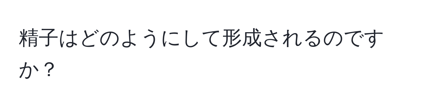 精子はどのようにして形成されるのですか？