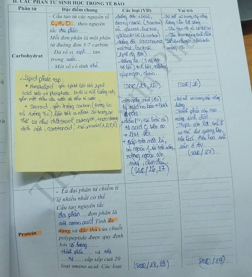 Các Phần tứ sinh học trong tế bào 
Phân tử Đặc điểm chung Các loại (VD) Vai trò 
C 
_ 
_ 
_ 
_ 
năn 
_ 
_ 
_ 
loại amino acid. Các loại 
_