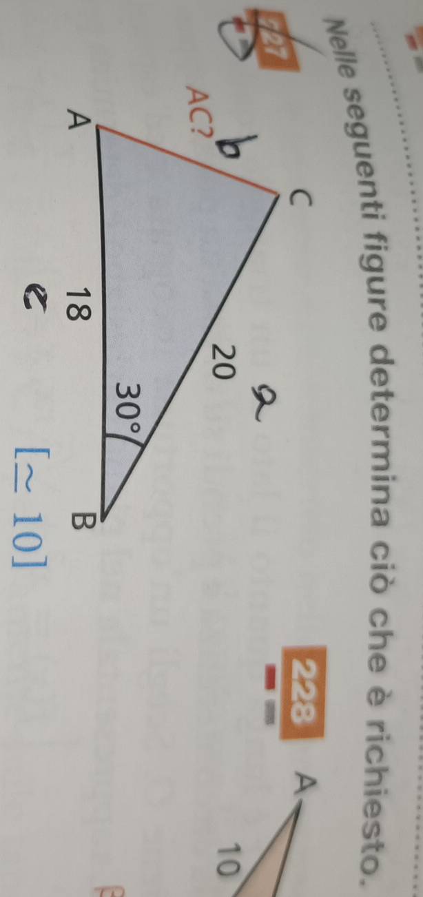 Nelle seguenti figure determina ciò che è richiesto.
228 
527
[≌ 10]