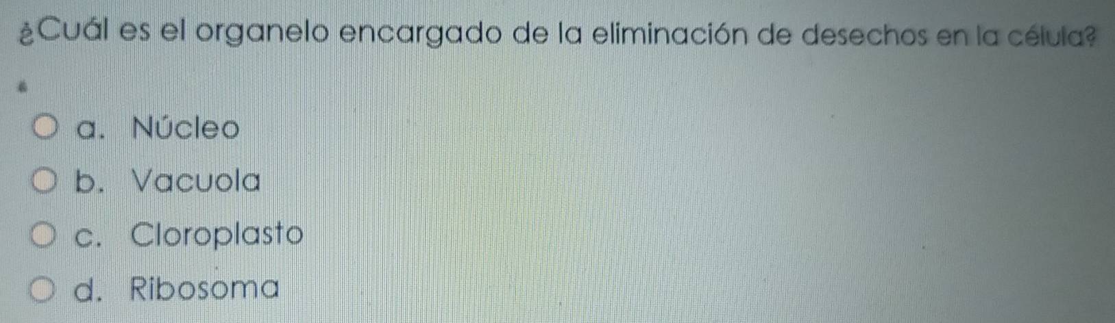 ¿Cuál es el organelo encargado de la eliminación de desechos en la célula?
a. Núcleo
b. Vacuola
c. Cloroplasto
d. Ribosoma