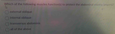 Which of the following muscles function(s) to protect the abdominal viscera (organs)?
external oblique
internai oblique
transversus abdominis
all of the above