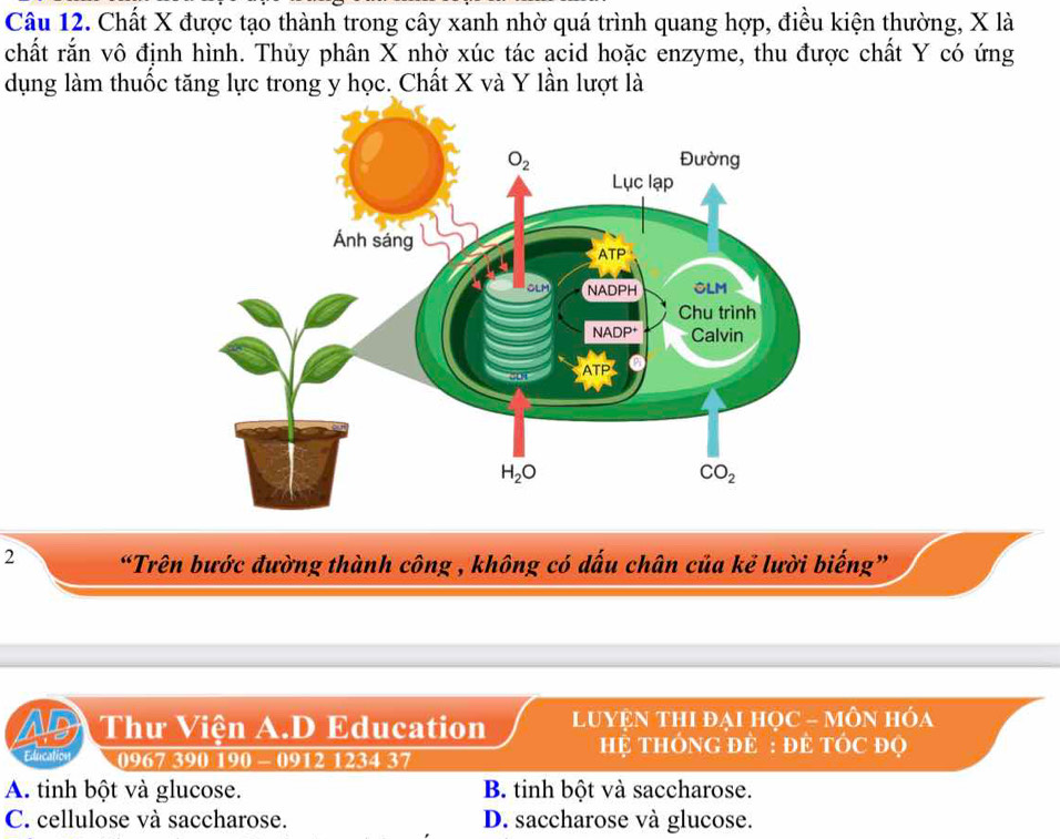 Chất X được tạo thành trong cây xanh nhờ quá trình quang hợp, điều kiện thường, X là
chất rắn vô định hình. Thủy phân X nhờ xúc tác acid hoặc enzyme, thu được chất Y có ứng
dụng làm thuốc tăng lực trong y học. Chất X và Y lần lượt là
2 “Trên bước đường thành công , không có dấu chân của kẻ lười biếng”
Ar Thư Viện A.D Education  LUYệN THI đẠI HọC - MÔN HÓa
Education 0967 390 190 - 0912 1234 37
Hệ THÔNG ĐE : ĐÊ TÓC Đọ
A. tinh bột và glucose. B. tinh bột và saccharose.
C. cellulose và saccharose. D. saccharose và glucose.