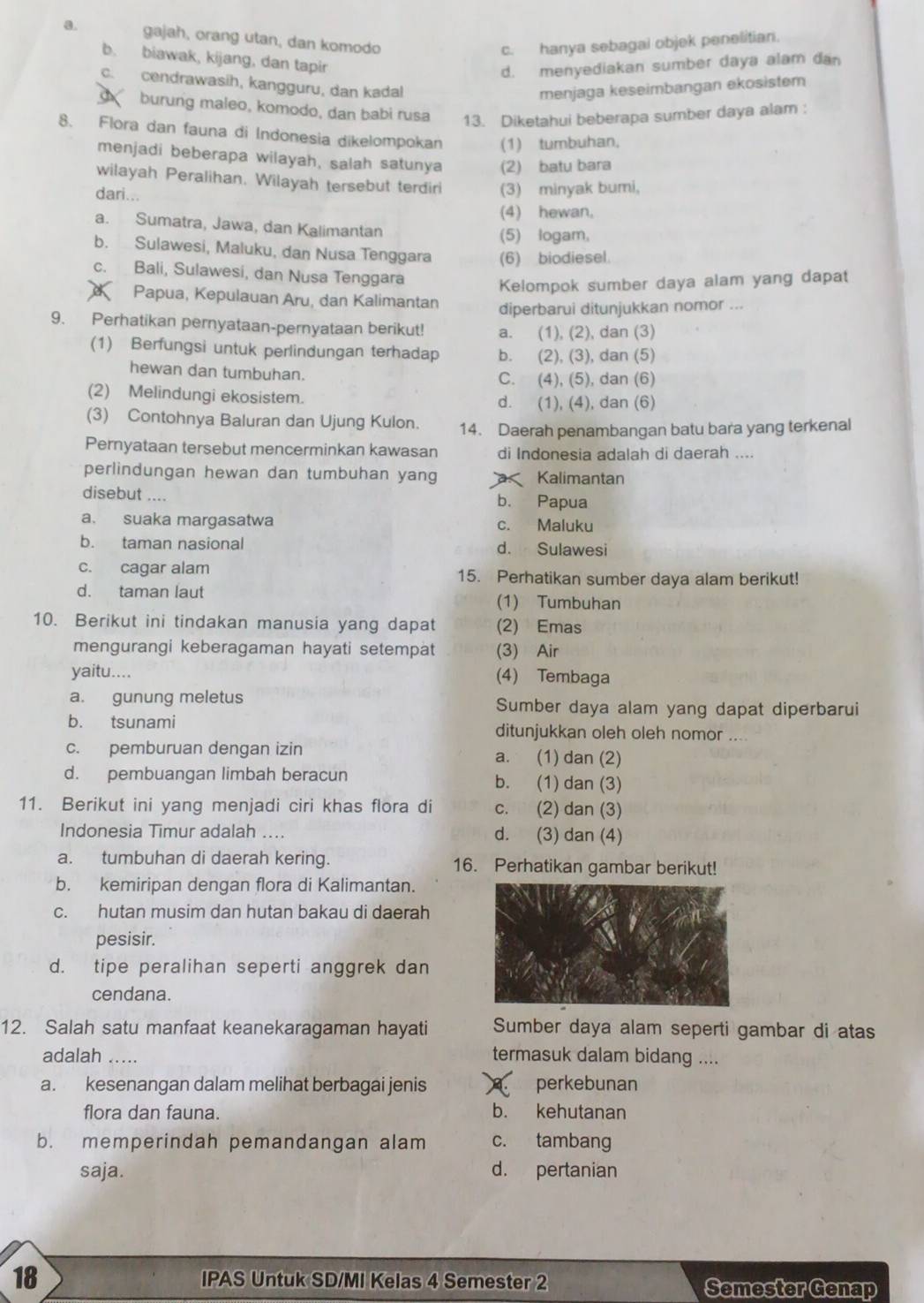 a. gajah, orang utan, dan komodo
c. hanya sebagai objek penelitian
b. biawak, kijang, dan tapir
d. menyediakan sumber daya alam dan
c. cendrawasih, kangguru, dan kadal
menjaga keseimbangan ekosistem
burung maleo, komodo, dan babi rusa 13. Diketahui beberapa sumber daya alam :
8. Flora dan fauna di Indonesia dikelompokan (1) tumbuhan,
menjadi beberapa wilayah, salah satunya (2) batu bara
wilayah Peralihan. Wilayah tersebut terdiri (3) minyak bumi,
dari...
(4) hewan.
a. Sumatra, Jawa, dan Kalimantan (5) logam,
b. Sulawesi, Maluku, dan Nusa Tenggara (6) biodiesel.
c. Bali, Sulawesi, dan Nusa Tenggara
Kelompok sumber daya alam yang dapat
d Papua, Kepulauan Aru, dan Kalimantan diperbarui ditunjukkan nomor ...
9. Perhatikan pernyataan-pernyataan berikut! a. (1), (2), dan (3)
(1) Berfungsi untuk perlindungan terhadap b. (2), (3), dan (5)
hewan dan tumbuhan. C. (4), (5), dan (6)
(2) Melindungi ekosistem. d. (1), (4), dan (6)
(3) Contohnya Baluran dan Ujung Kulon. 14. Daerah penambangan batu bara yang terkenal
Pernyataan tersebut mencerminkan kawasan di Indonesia adalah di daerah ....
perlindungan hewan dan tumbuhan yang Kalimantan
disebut .... b. Papua
a. suaka margasatwa c. Maluku
b. taman nasional d. Sulawesi
c. cagar alam 15. Perhatikan sumber daya alam berikut!
d. taman laut
(1) Tumbuhan
10. Berikut ini tindakan manusia yang dapat (2) Emas
mengurangi keberagaman hayati setempat (3) Air
yaitu.... (4) Tembaga
a. gunung meletus Sumber daya alam yang dapat diperbarui
b. tsunami ditunjukkan oleh oleh nomor ....
c. pemburuan dengan izin a. (1) dan (2)
d. pembuangan limbah beracun b. (1) dan (3)
11. Berikut ini yang menjadi ciri khas flora di c. (2) dan (3)
Indonesia Timur adalah .... d. (3) dan (4)
a. tumbuhan di daerah kering. 16. Perhatikan gambar berikut!
b. kemiripan dengan flora di Kalimantan.
c. hutan musim dan hutan bakau di daerah
pesisir.
d. tipe peralihan seperti anggrek dan
cendana.
12. Salah satu manfaat keanekaragaman hayati Sumber daya alam seperti gambar di atas
adalah ..... termasuk dalam bidang ....
a. kesenangan dalam melihat berbagai jenis 1. perkebunan
flora dan fauna. b. kehutanan
b. memperindah pemandangan alam c. tambang
saja. d. pertanian
18 IPAS Untuk SD/MI Kelas 4 Semester 2 Semester Genap