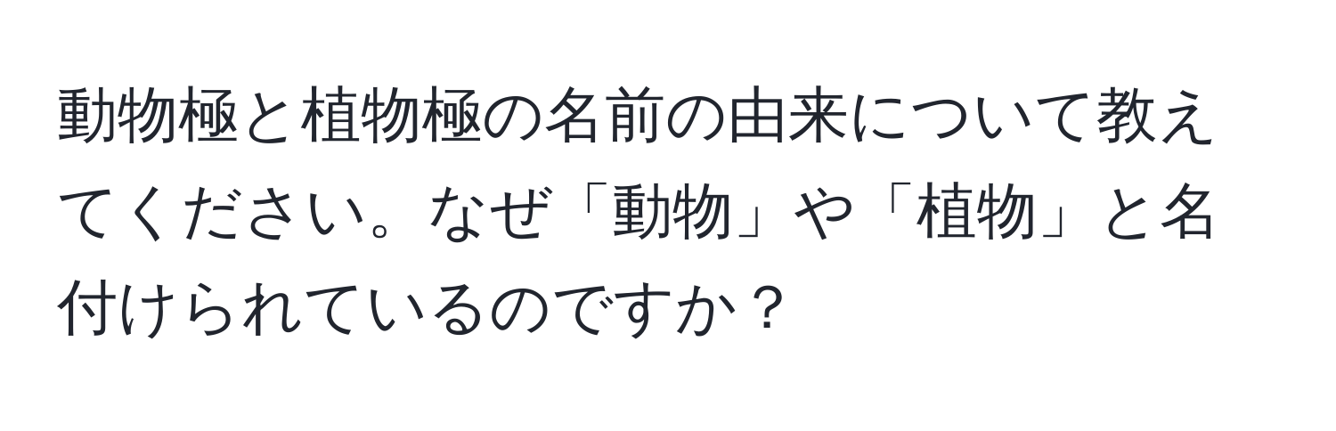 動物極と植物極の名前の由来について教えてください。なぜ「動物」や「植物」と名付けられているのですか？