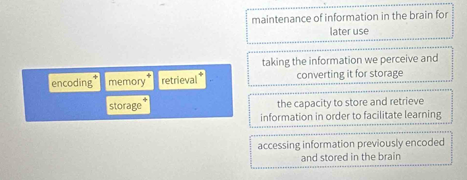 maintenance of information in the brain for
later use
taking the information we perceive and
encoding memory retrieval × converting it for storage
.1
storage the capacity to store and retrieve
information in order to facilitate learning
accessing information previously encoded
and stored in the brain