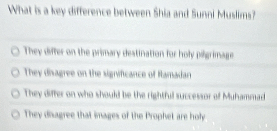 What is a key difference between Shia and Sunni Muslims?
They differ on the primary destination for holy pilgrimage
They disagree on the significance of Ramadan
They differ on who should be the rightful successor of Muhammad
They disagree that images of the Prophet are holy