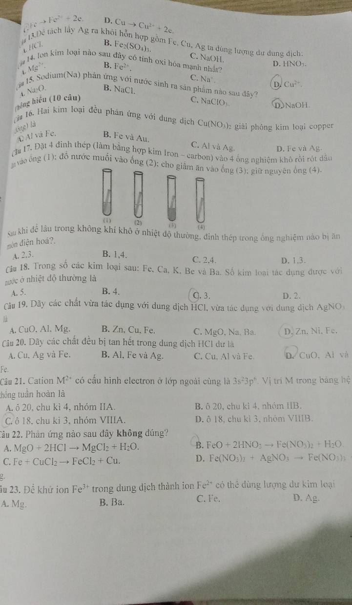 gcto Fe^(2+)+2e. D.
i# 13.Dẻ tách lầy Ag ra khỏi Cuto Cu^(2+)+2e.
1. HC%
B.F gồm Fe, Cu, Ag ta dùng lượng dư dung địch:
da 14. Ion kim loại nào sau e_2(SO_4)_3
C. NaOH. D. HNO_3.
ó tinh oxi hóa mạnh nhất?
Mg^(2+).
B.
C. Na 
4. Na₂O, Fe^(2+),
D. Cu^(2+).
ăm15. Sodium(Na) phản ứng với nước sinh ra sản phẩm nào sau đây?
B. NaCl. C. NaClO_3. DON a0 1
(hồng hiều (10 câu)
Tài 16. Hai kim loại đều phản ứng với dung dịch Cu(NO_3) 2 giải phóng kim loại copper
lóng) là
A Al và Fe. B. Fe và Au.
C. Al và Ag. D. Fe và Ag.
(ău 17. Đặt 4 đinh thép (làm bằng hợp kìm Iron - carbon) vào 4 ống nghiệm khô rồi rót dầu
vào ổng (1); đổ nước muối vào ống (2); cho giấm ăn vào ổng (3); giữ nguyên ống (4).
(1) (2) (3) (4)
Sau khi để lâu trong không khí khô ở nhiệt độ thường, định thép trong ống nghiệm nào bị ăn
mòn diện hoá?
A. 2.3. B. 1,4. C. 2,4. D. 1.3.
Cu 18, Trong số các kim loại sau: Fe, Ca, K. Be và Ba. Số kim loại tác dụng được với
nước ở nhiệt độ thường là
B. 4. Q. 3.
A. 5. D. 2.
Câu 19, Dãy các chất vừa tác dụng với dung dịch HCl, vừa tác dụng với dung dịch AgNO
là
A. CuO. Al. Mg. B. Zn, Cu,Fe. C. MgO, Na. Ba. D, Zn, Ni, Fe.
Câu 20. Dãy các chất đều bị tan hết trong dung dịch HCI dư là
A. Cu. Ag và Fe. B. Al, Fe và Ag. C. Cu, Al và Fe. D. CuO, Al và
Fe.
Câu 21. Cation M^(2+) có cấu hình electron ở lớp ngoài cùng là 3s^23p^6 Vị trí M trong bảng hệ
thống tuần hoàn là
A. ô 20, chu kì 4, nhóm IIA. B. ô 20, chu kì 4, nhóm IB.
C. ô 18, chu kì 3, nhóm VIIIA. D. ô 18, chu kỉ 3, nhóm VIIIB.
2âu 22. Phản ứng nào sau đây không đúng?
A. MgO+2HClto MgCl_2+H_2O. B. FeO+2HNO_3to Fe(NO_3)_2+H_2O.
C. Fe+CuCl_2to FeCl_2+Cu.
D. Fe(NO_3)_2+AgNO_3to Fe(NO_3)_3
g
âu 23. Đề khử ion Fe^(3+) trong dung dịch thành ion Fe^(2+) có thể dùng lượng dự kim loại
A. Mg. B. Ba.
C. Fe. D. Ag.