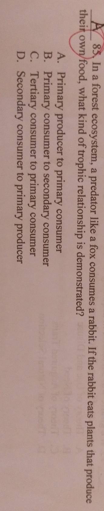 In a forest ecosystem, a predator like a fox consumes a rabbit. If the rabbit eats plants that produce
their own/food, what kind of trophic relationship is demonstrated?
A. Primary producer to primary consumer
B. Primary consumer to secondary consumer
C. Tertiary consumer to primary consumer
D. Secondary consumer to primary producer