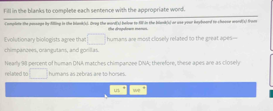 Fill in the blanks to complete each sentence with the appropriate word. 
Complete the passage by filling in the blank(s). Drag the word(s) below to fill in the blank(s) or use your keyboard to choose word(s) from 
the dropdown menus. 
Evolutionary biologists agree that =□ humans are most closely related to the great apes— 
chimpanzees, orangutans, and gorillas. 
Nearly 98 percent of human DNA matches chimpanzee DNA; therefore, these apes are as closely 
related to □ humans as zebras are to horses. 
US we