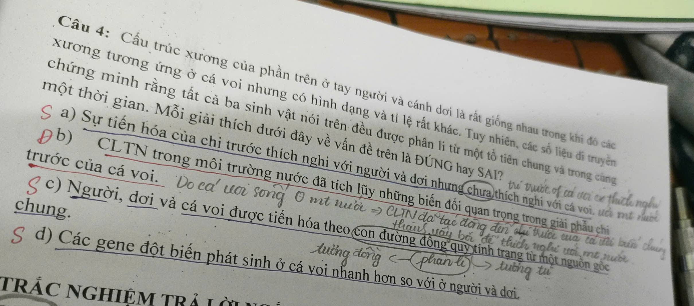 Cầu 4: Cấu trúc xương của phần trên ở tay người và cánh dơi là rất giống nhau trong khi đó cá
xương tương ứng ở cá voi nhưng có hình dạng và tỉ lệ rất khác. Tuy nhiên, các số liệu đi truyề
chứng minh rằng tất cả ba sinh vật nói trên đều được phân li từ một tổ tiên chung và trong cùng
thột thời gian. Mỗi giải thích dưới đây về vấn đề trên là ĐÚNG hay SAI?
a) Sự tiến hóa của chi trước thích nghi với người và dơi nhưng chưa thích nghi với cá voi vớ 
trước của cá voi.
9 b) CLTN trong môi trường nước đã tích lũy những biến đổi quan trọng trong giải phẫu ch
chung.
( c) Người, dơi và cá voi được tiến hóa theo con đường đồng quy tính trị
d) Các gene đột biến phát sinh ở cá voi nhanh hơn so với ở người và dơi.
tRÁC NGHIệM TRả Lời