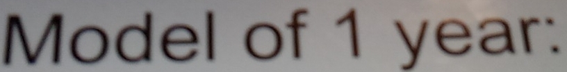 Model of 1 year :