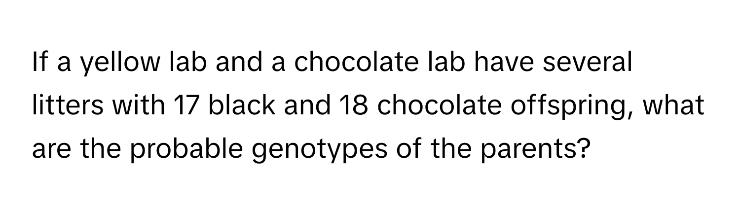 If a yellow lab and a chocolate lab have several litters with 17 black and 18 chocolate offspring, what are the probable genotypes of the parents?