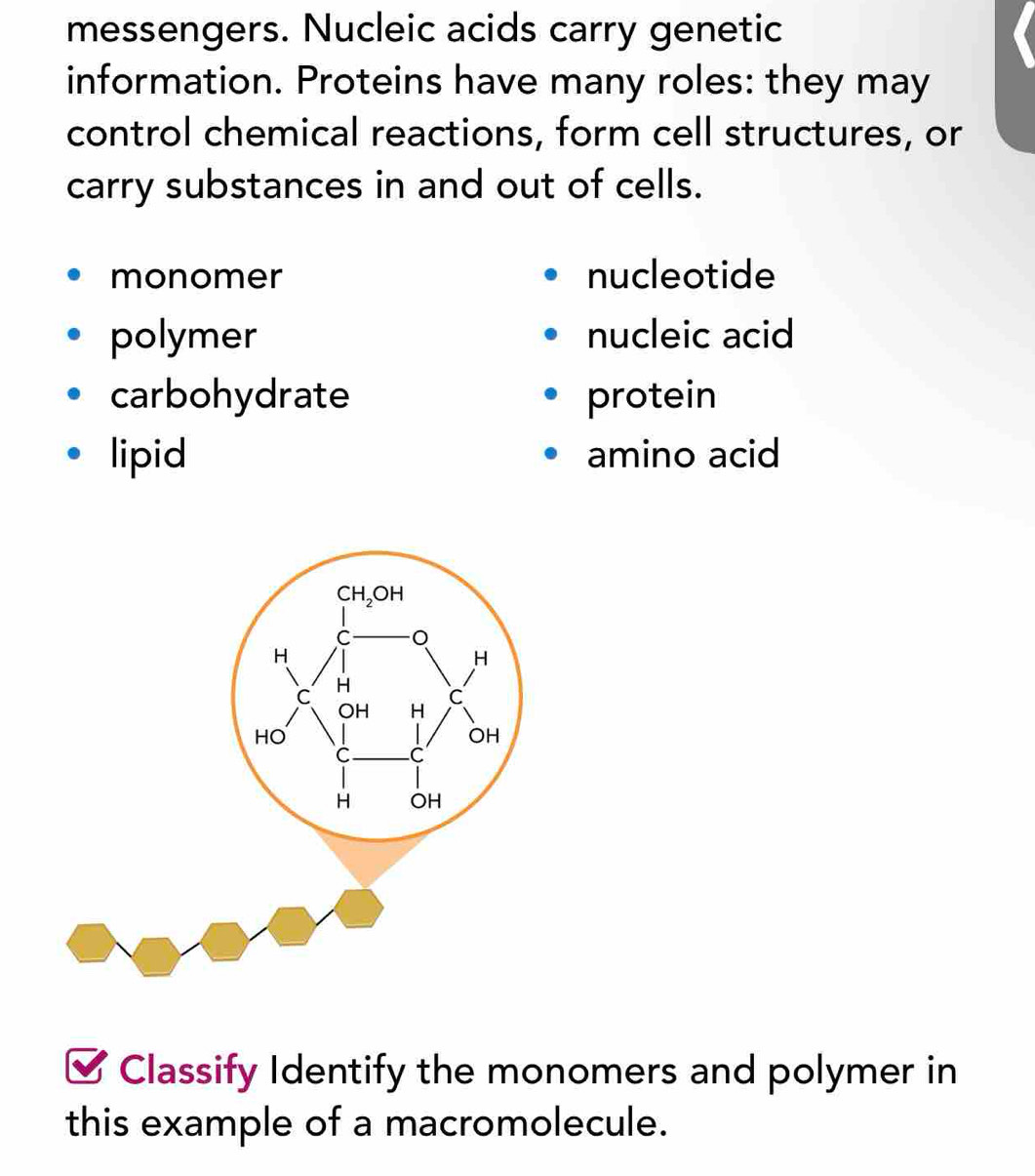 messengers. Nucleic acids carry genetic
information. Proteins have many roles: they may
control chemical reactions, form cell structures, or
carry substances in and out of cells.
monomer nucleotide
polymer nucleic acid
carbohydrate protein
lipid amino acid
Classify Identify the monomers and polymer in
this example of a macromolecule.