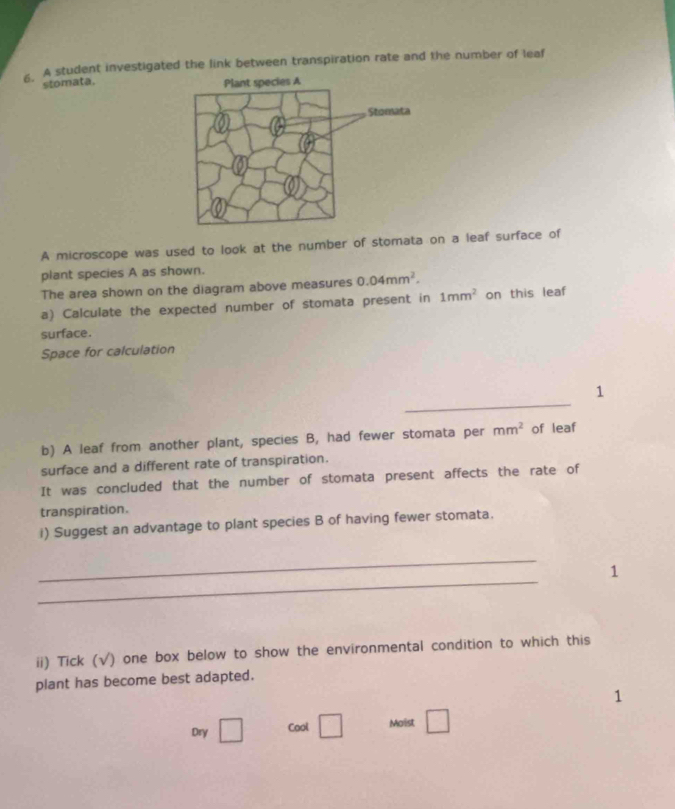 A student investigated the link between transpiration rate and the number of leaf 
stomata. 
A microscope was used to look at the number of stomata on a leaf surface of 
plant species A as shown. 
The area shown on the diagram above measures 0.04mm^2. 
a) Calculate the expected number of stomata present in 1mm^2 on this leaf 
surface. 
Space for calculation 
_ 
1 
b) A leaf from another plant, species B, had fewer stomata per mm^2 of leaf 
surface and a different rate of transpiration. 
It was concluded that the number of stomata present affects the rate of 
transpiration. 
i) Suggest an advantage to plant species B of having fewer stomata. 
_ 
_ 
1 
ii) Tick (√) one box below to show the environmental condition to which this 
plant has become best adapted. 
1 
Dry Cool C □ Moist