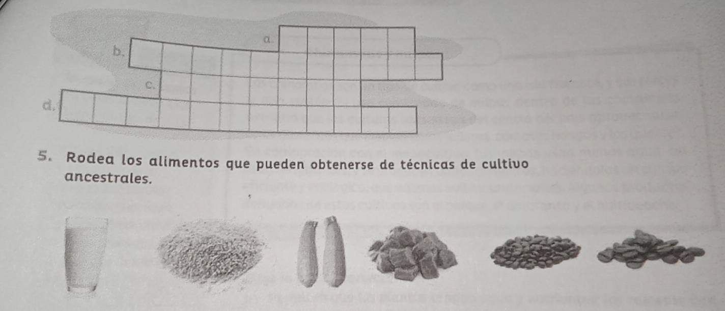 Rodea los alimentos que pueden obtenerse de técnicas de cultivo 
ancestrales.