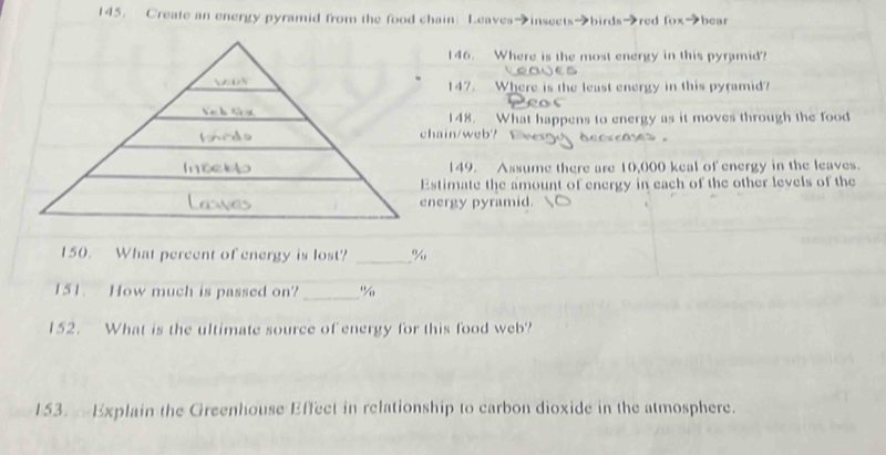 Create an energy pyramid from the food chain Leaves→inseets→birds→red fox→bear 
146. Where is the most energy in this pyramid? 

DN 147. Where is the least energy in this pyramid? 
Víh từạ 148. What happens to energy as it moves through the food 
chain/web? Ewesg deos 
149. Assume there are 10,000 keal of energy in the leaves. 
Estimate the amount of energy in each of the other levels of the 
energy pyramid. 
150. What percent of energy is lost? _ %
151. How much is passed on? _ %
152. What is the ultimate source of energy for this food web? 
153. —Explain the Greenhouse Effect in relationship to carbon dioxide in the atmosphere.