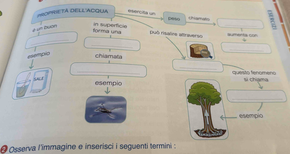 PROPRIETÀ DELL'ACQUA esercita un 
peso chiamato 
è un buon 
in superficie 
_ 
_ 
forma una può risalire attraverso aumenta con 
_ 
_ 
esempio 
chiamata 
_ 
_ 
questo fenomeno 
SALE si chiama 
esempio 
_ 
_esempio 
❷ Osserva l’immagine e inserisci i seguenti termini :