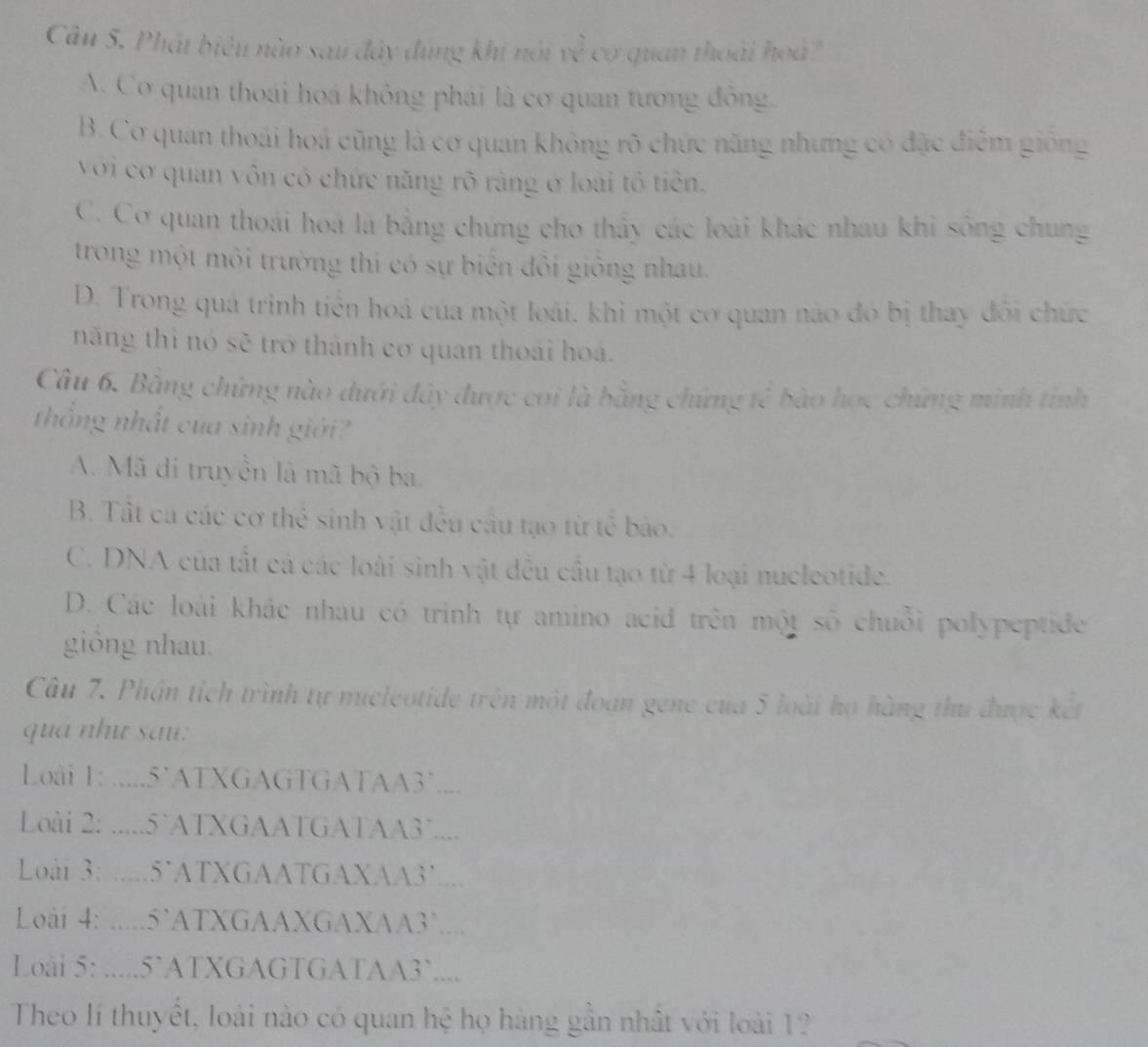 Phát biêu nào sau đây đùng khi nói về cơ quan thoái hoà?
N. Cơ quan thoái hoá không phái là cơ quan tương đồng.
B. Cơ quan thoái hoá cũng là cơ quan không rõ chức năng nhưng có đặc điễm giống
với cơ quan vôn có chức năng rõ rằng ở loài tô tiên.
C. Cơ quan thoái hoá là bằng chứng cho thảy các loài khác nhau khi sông chung
trong một môi trường thi có sự biển đôi giống nhau.
D. Trong quá trình tiền hoá của một loài. khi một cơ quan nào đó bị thay đôi chức
năng thì nó sẽ trở thành cơ quan thoái hoá.
Câu 6. Bằng chứng nào dưới đây được coi là bằng chứng tế bào học chứng minh tính
thống nhất của sinh giới?
A. Mã di truyền là mã bộ ba.
B. Tất ca các cơ thể sinh vật đều cầu tạo từ tế bào.
C. DNA của tất cả các loài sinh vật đều cầu tạo từ 4 loại nucleotide.
D. Các loài khác nhau có trinh tự amino acid trên một số chuỗi polypeptide
giồng nhau.
Câu 7. Phần tích trình tự nucleotide trên một đoạn gene của 5 loài họ hàng thu được kết
quá như sau:
Loài 1: .....5’ATXGAGTGATAA3`....
Loài 2: .....5`ATXGAATGATAA3`....
Loài 3: .....5`ATXGAATGAXAA3’....
Loài 4: .....5’ATXGAAXGAXAA3`....
Loài 5: .....5`ATXGAGTGATAA3`....
Theo lí thuyết, loài nào có quan hệ họ hàng gần nhất với loài 1?