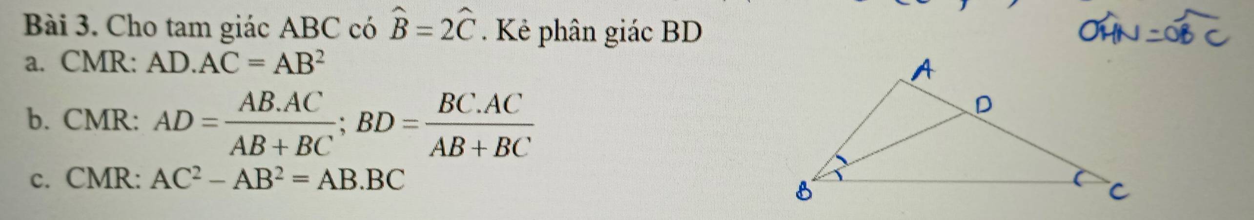 Cho tam giác ABC có hat B=2hat C. Kẻ phân giác BD
a. CMR: AD· AC=AB^2
b. CMR : AD= (AB.AC)/AB+BC ; BD= (BC.AC)/AB+BC 
c. CMR: AC^2-AB^2=AB· BC