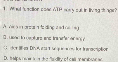 What function does ATP carry out in living things?
A. aids in protein folding and coiling
B. used to capture and transfer energy
C. identifies DNA start sequences for transcription
D. helps maintain the fluidity of cell membranes